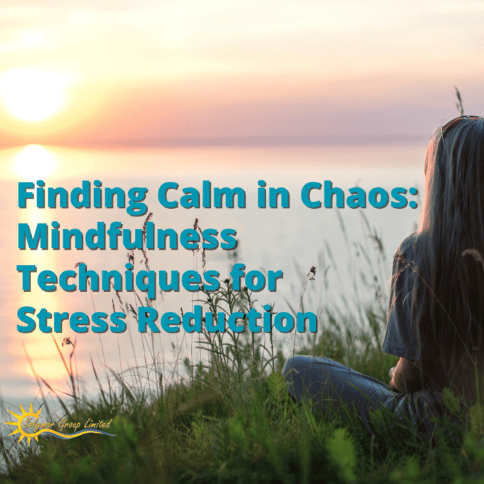 Chaos calm strategies these finding try simple today find use